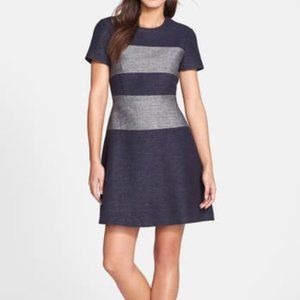 BCBG Denim Grey Stripe Dress